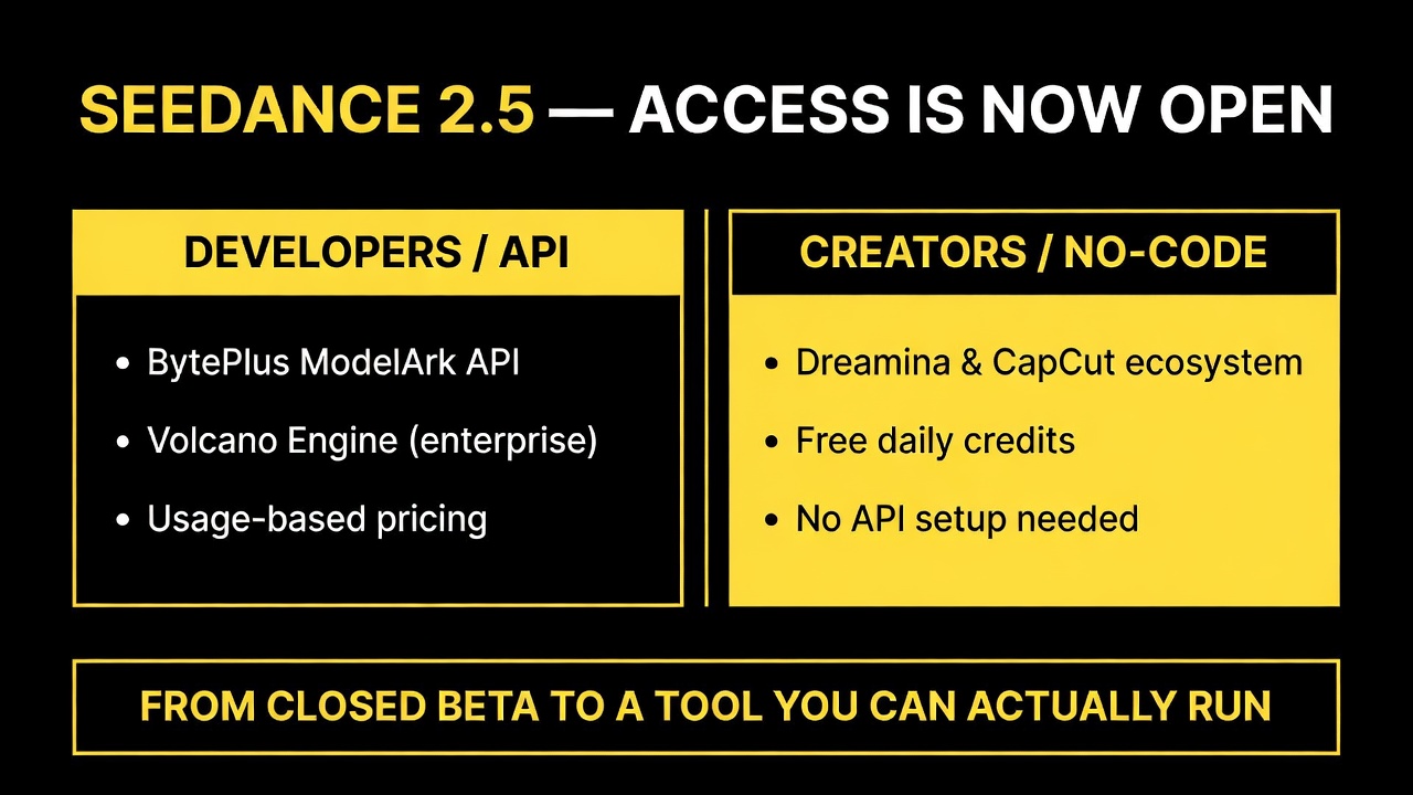 Seedance 2.5 access routes